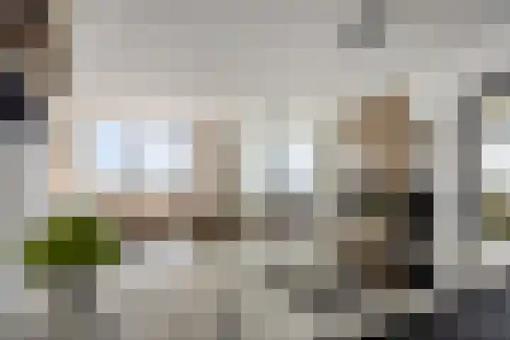 Vasteland 239 Rotterdam thumbnail 10