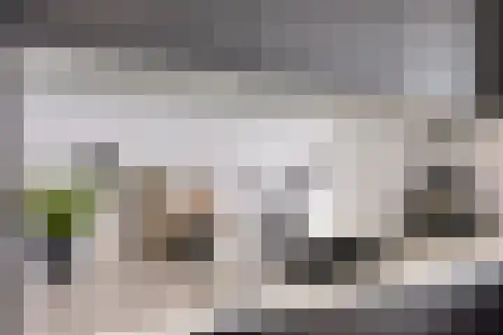 Vasteland 239 Rotterdam thumbnail 12