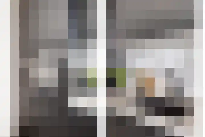 Vasteland 239 Rotterdam thumbnail 13
