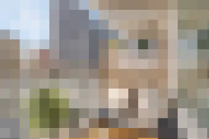 Vasteland 239 Rotterdam thumbnail 14