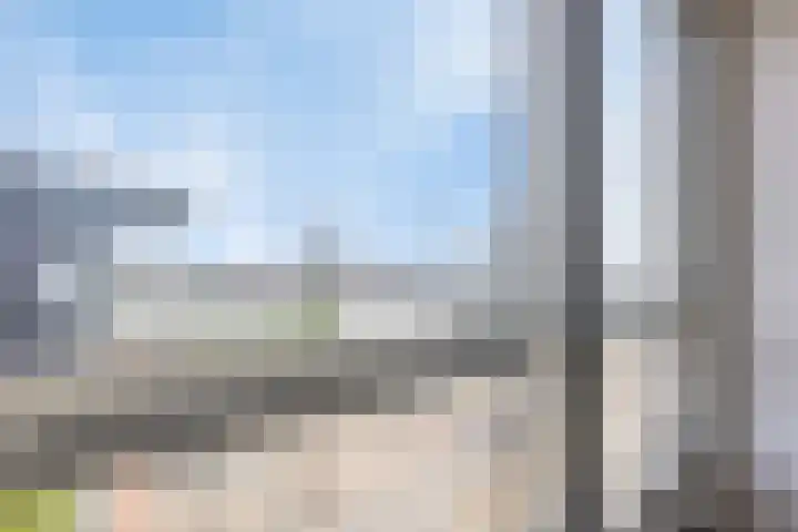 Vasteland 239 Rotterdam thumbnail 21
