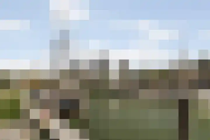 Vasteland 239 Rotterdam thumbnail 38