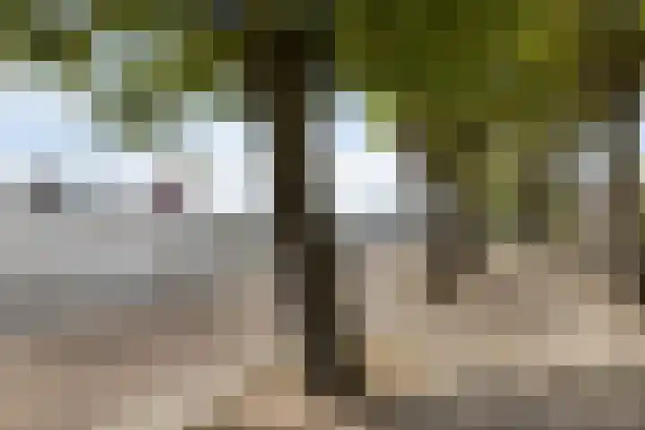 Vasteland 239 Rotterdam thumbnail 39