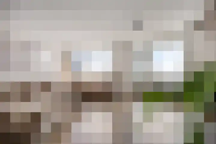 Vasteland 239 Rotterdam thumbnail 4