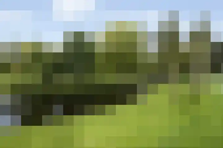 Vasteland 239 Rotterdam thumbnail 40