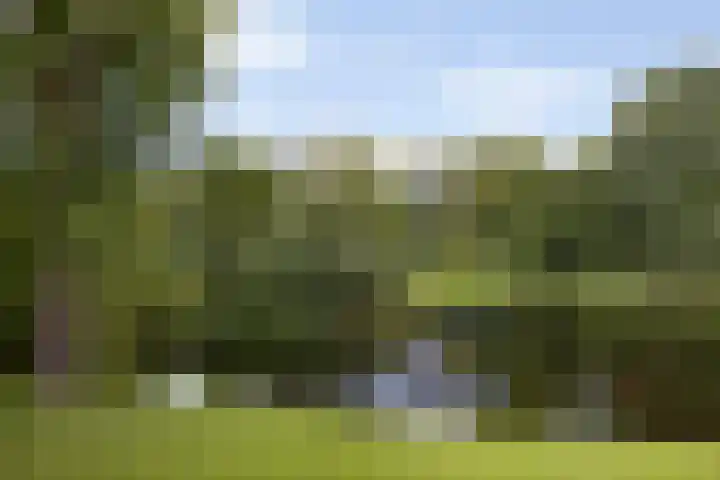 Vasteland 239 Rotterdam thumbnail 41