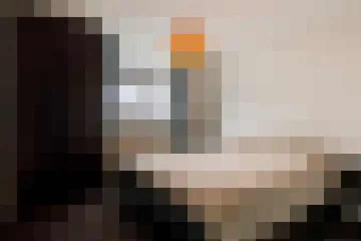 Vasteland 381 Rotterdam thumbnail 18