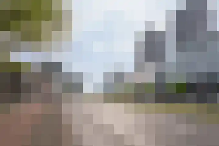 Vasteland 381 Rotterdam thumbnail 29