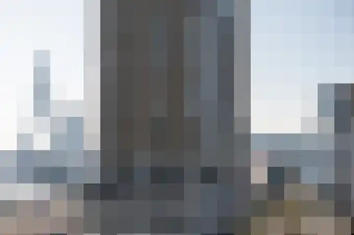 Vasteland 381 Rotterdam thumbnail 30