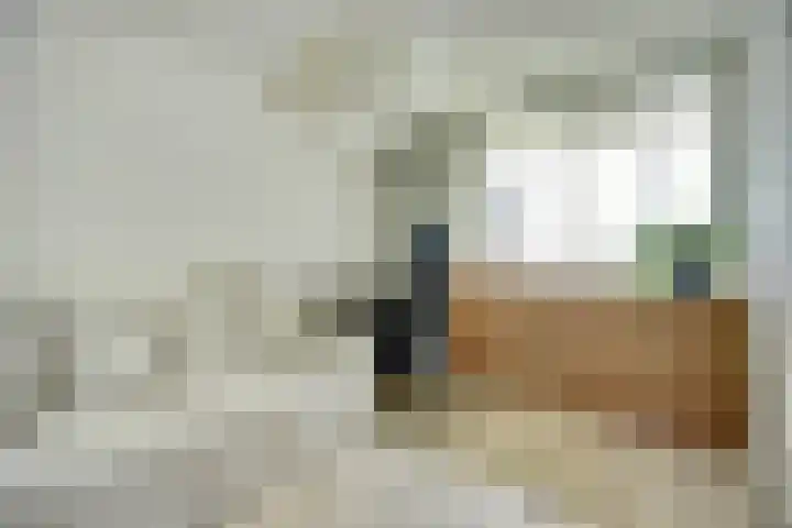 Vasteland 383 Rotterdam thumbnail 21