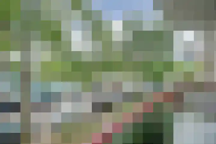 Vasteland 383 Rotterdam thumbnail 5