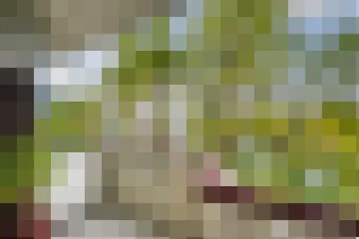 Vasteland 407 Rotterdam thumbnail 21