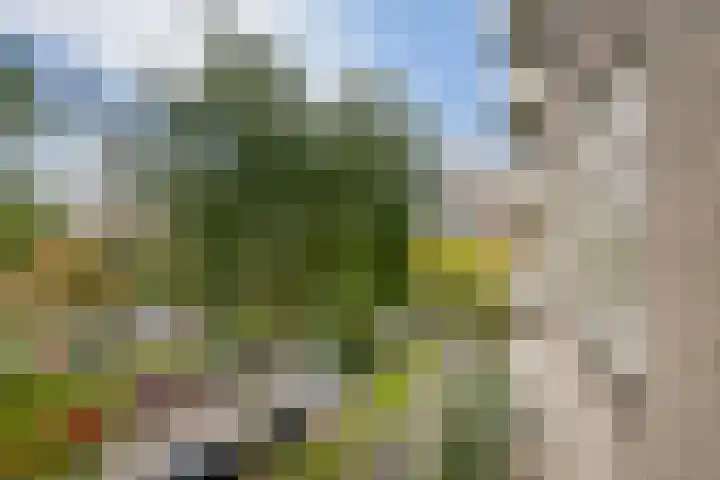 Vasteland 407 Rotterdam thumbnail 22
