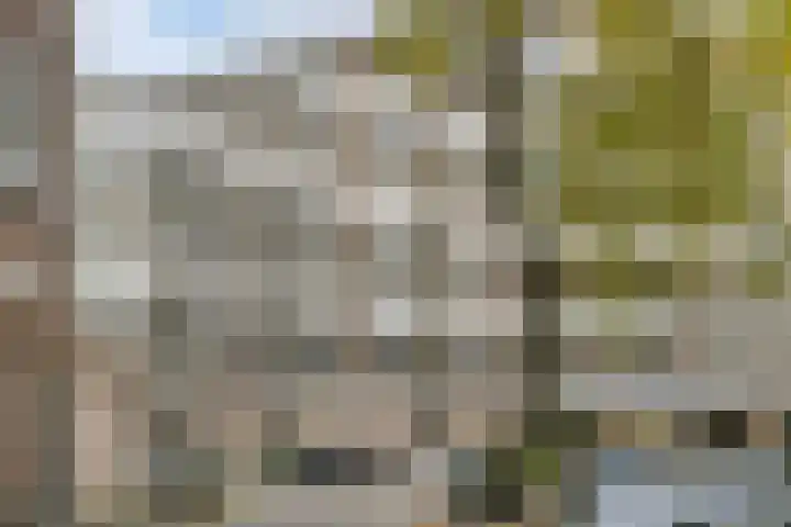 Vasteland 407 Rotterdam thumbnail 25
