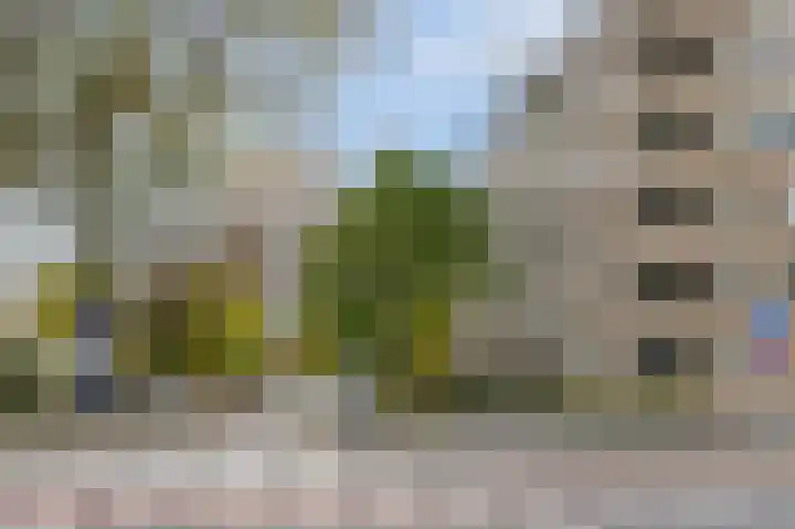 Vasteland 407 Rotterdam thumbnail 26