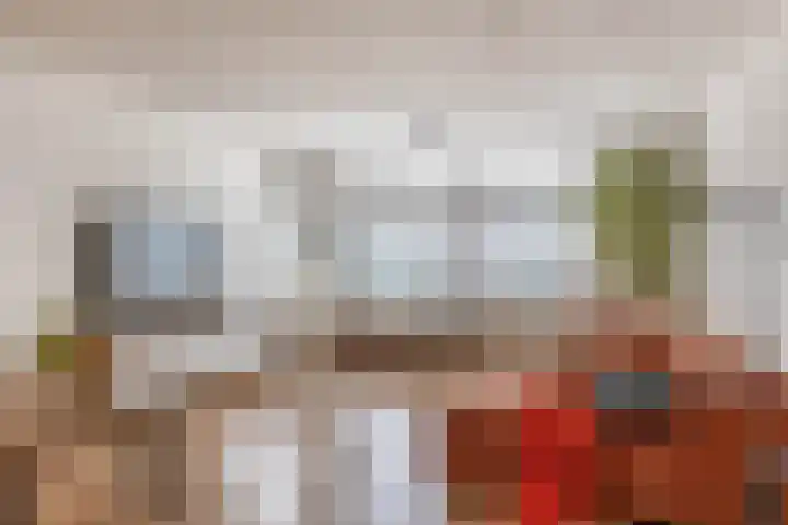 Vasteland 417 dans Rotterdam
