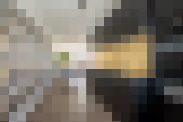 Vasteland 463 Rotterdam thumbnail 11