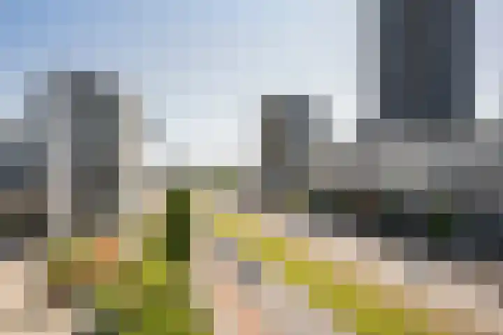Vasteland 463 Rotterdam thumbnail 27