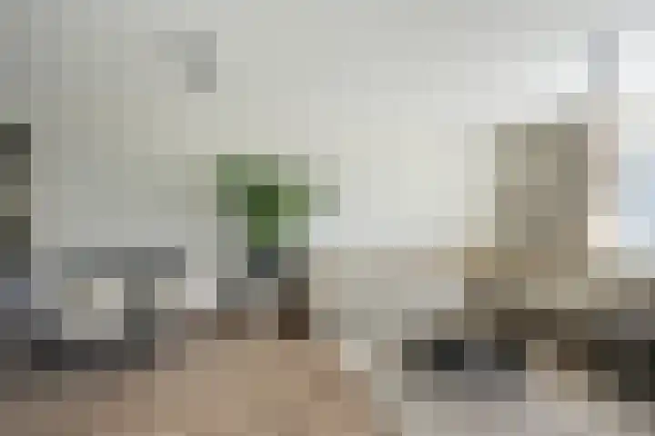 Vasteland 463 Rotterdam thumbnail 7