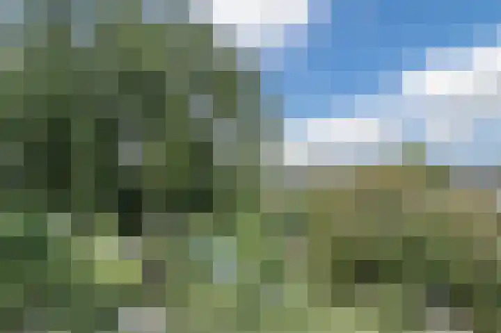 Vasteland 475 Rotterdam thumbnail 30