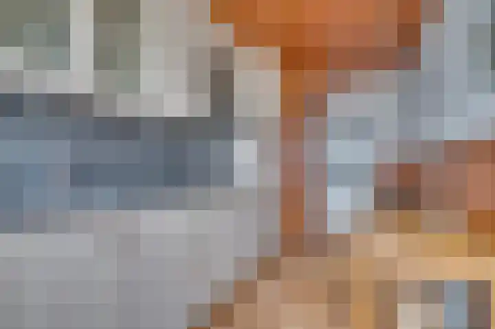 Vastenavondkampstraat 104 Venlo thumbnail 6