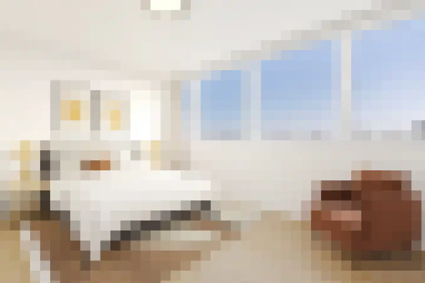 Vastenavondkampstraat 110 Venlo thumbnail 17