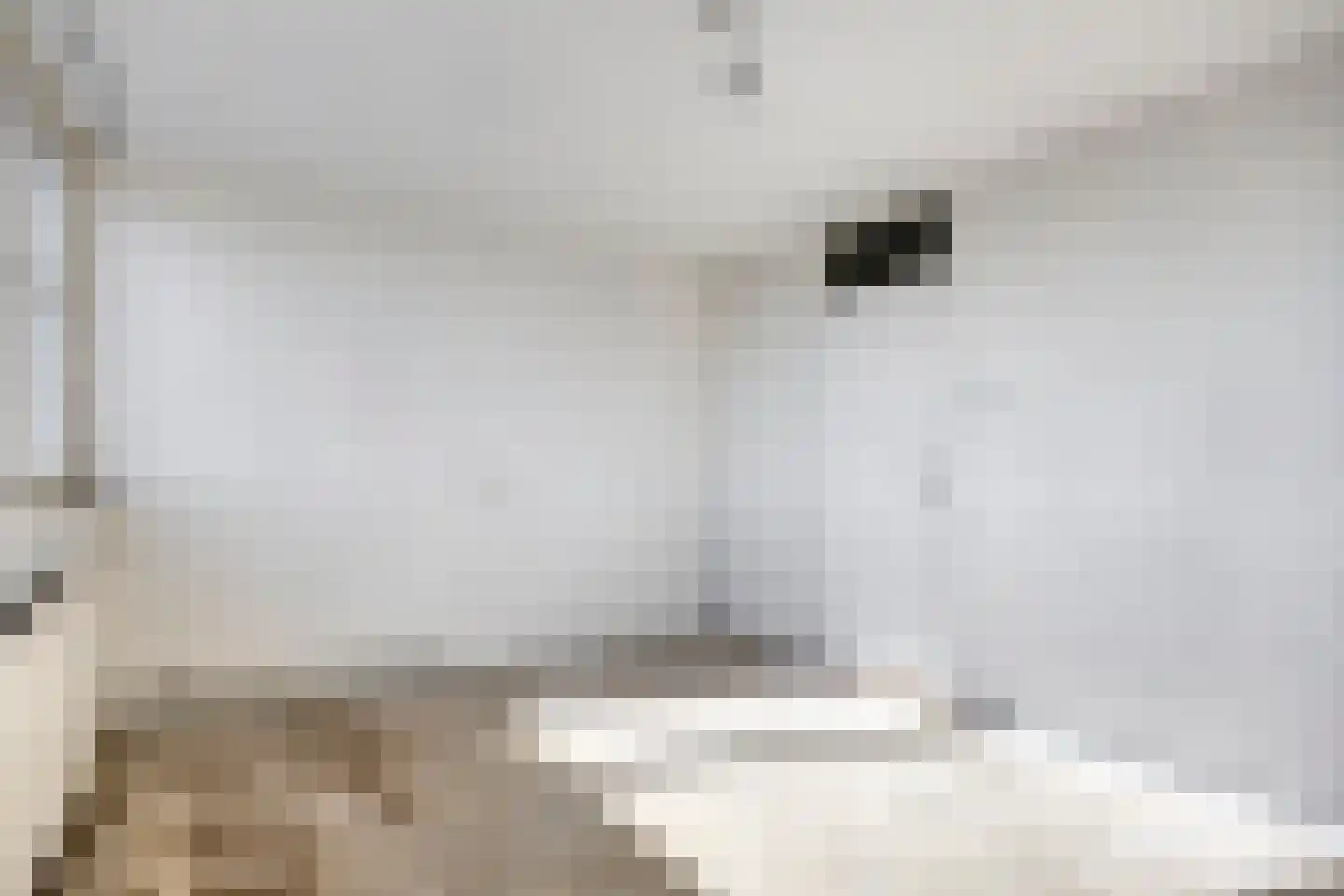 Vastenavondkampstraat 124 Venlo thumbnail 12