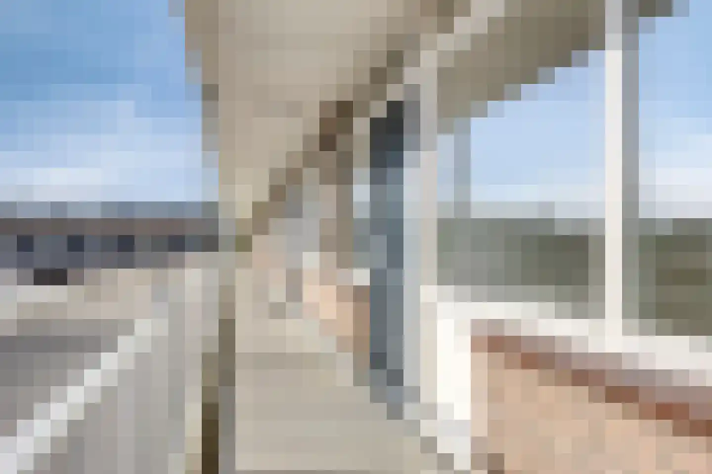 Vastenavondkampstraat 124 Venlo thumbnail 20