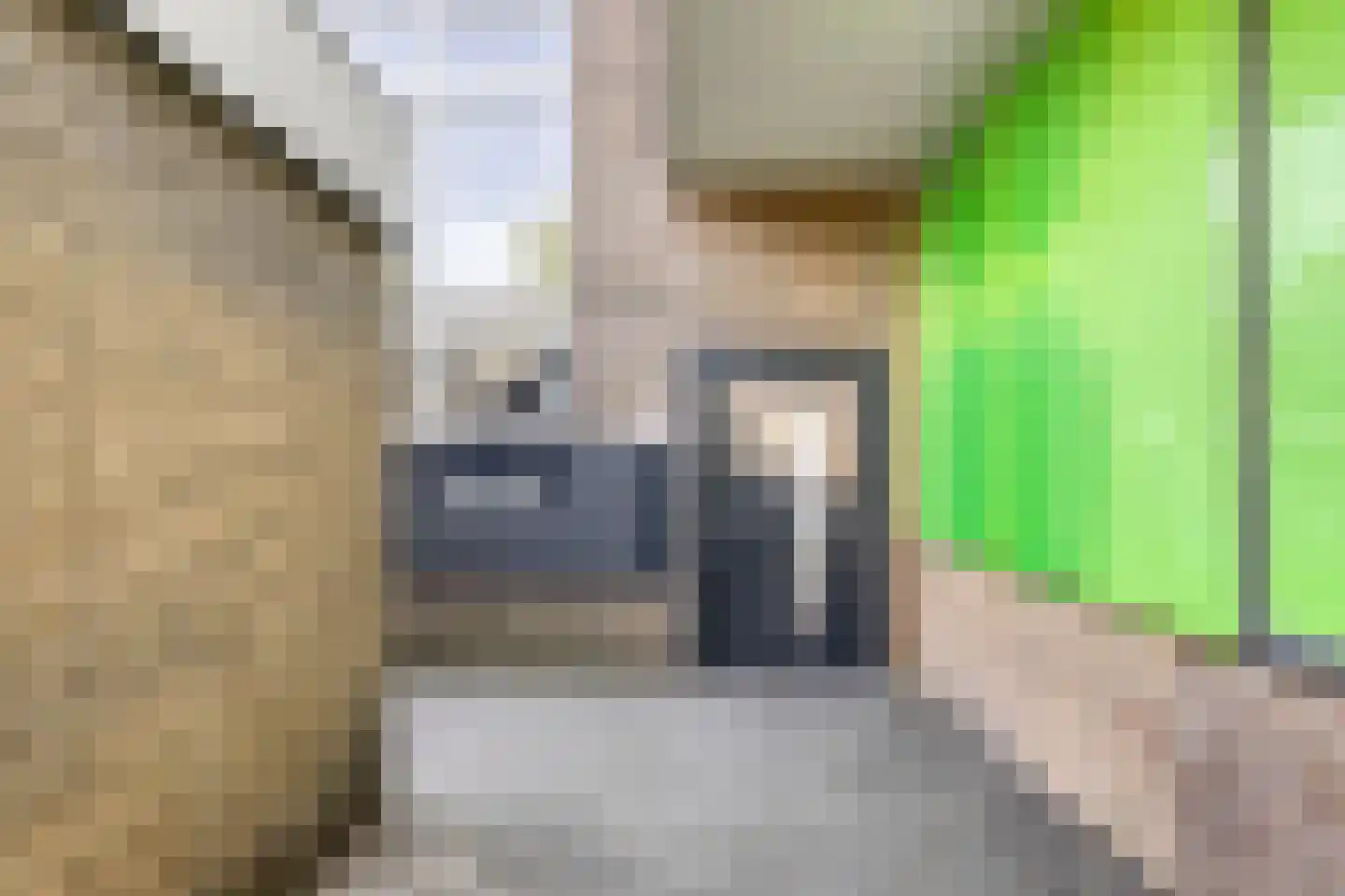Vastenavondkampstraat 124 Venlo thumbnail 22