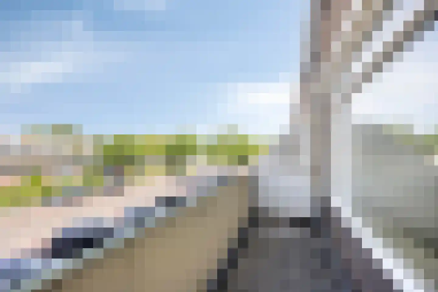 Vastenavondkampstraat 124 Venlo thumbnail 5