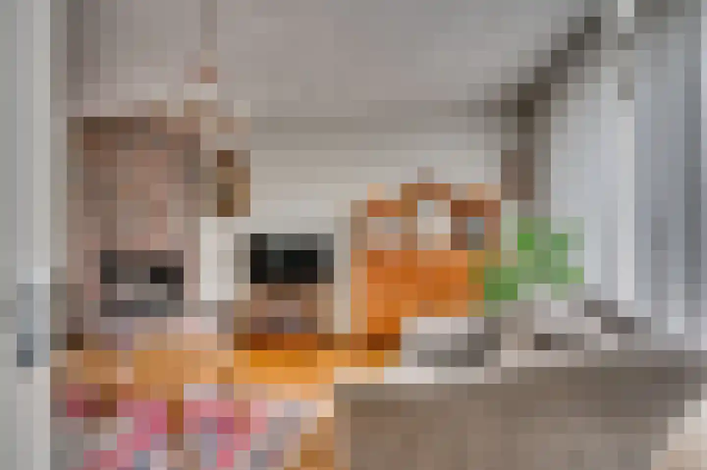Vastenavondkampstraat 31 Venlo thumbnail 10