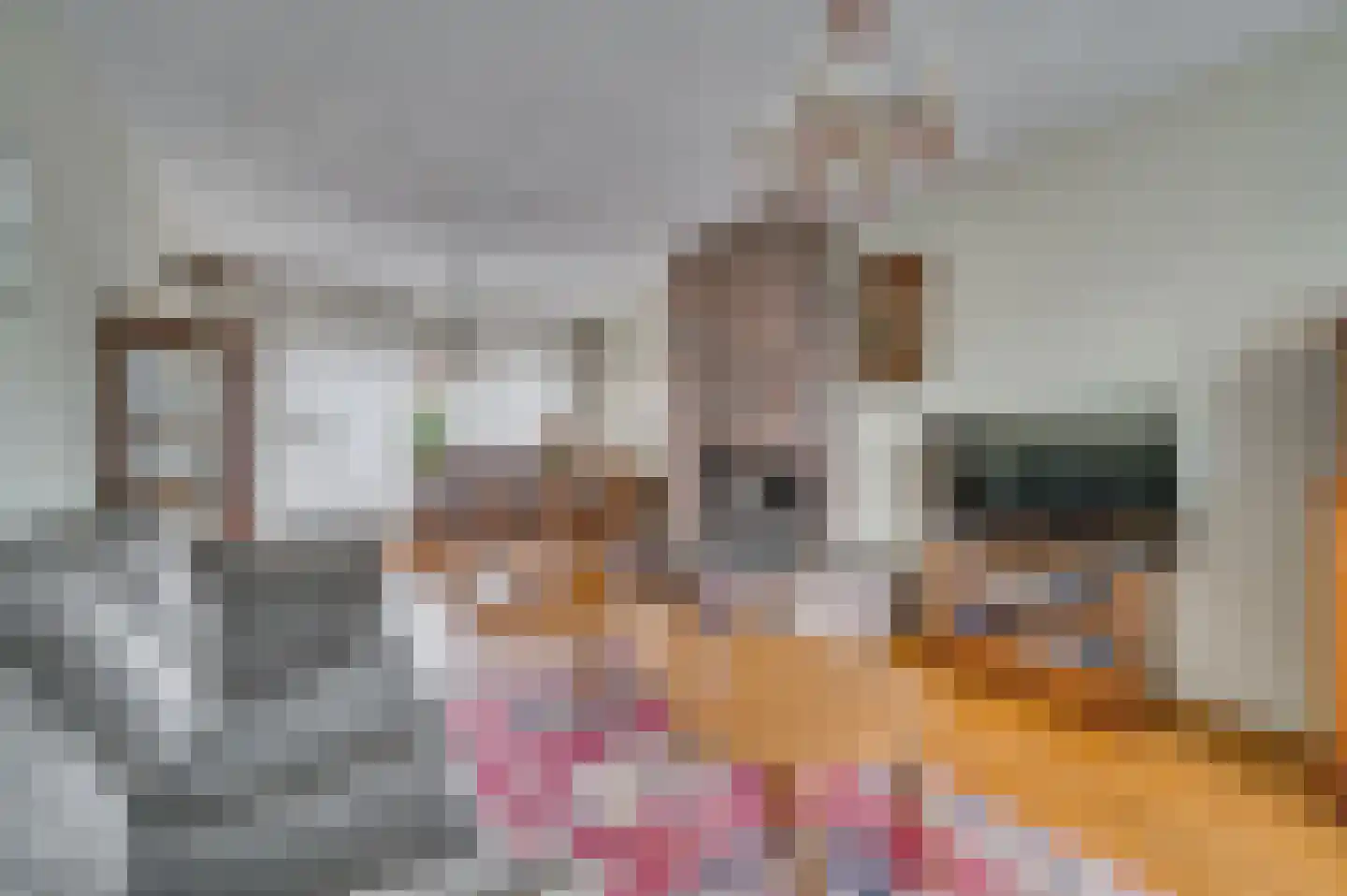 Vastenavondkampstraat 31 Venlo thumbnail 12