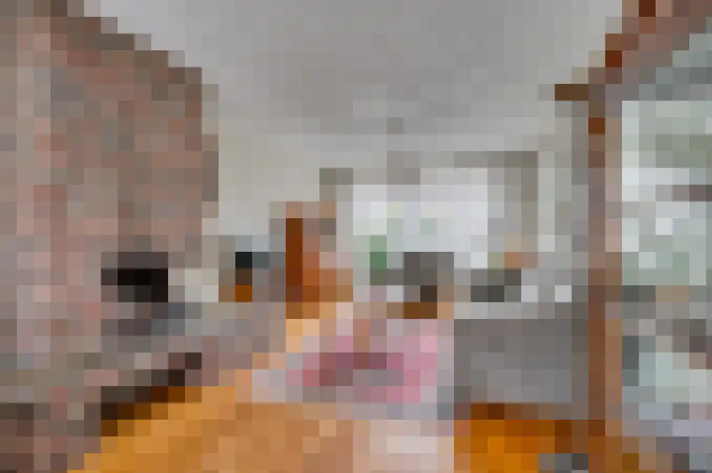 Vastenavondkampstraat 31 Venlo thumbnail 6