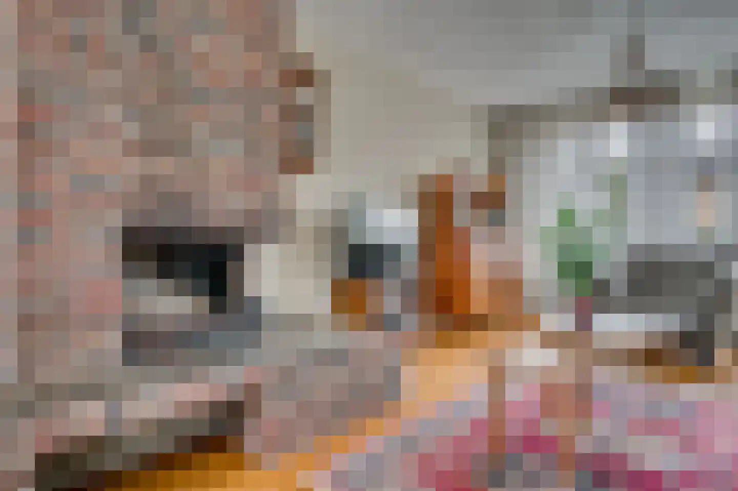 Vastenavondkampstraat 31 Venlo thumbnail 7
