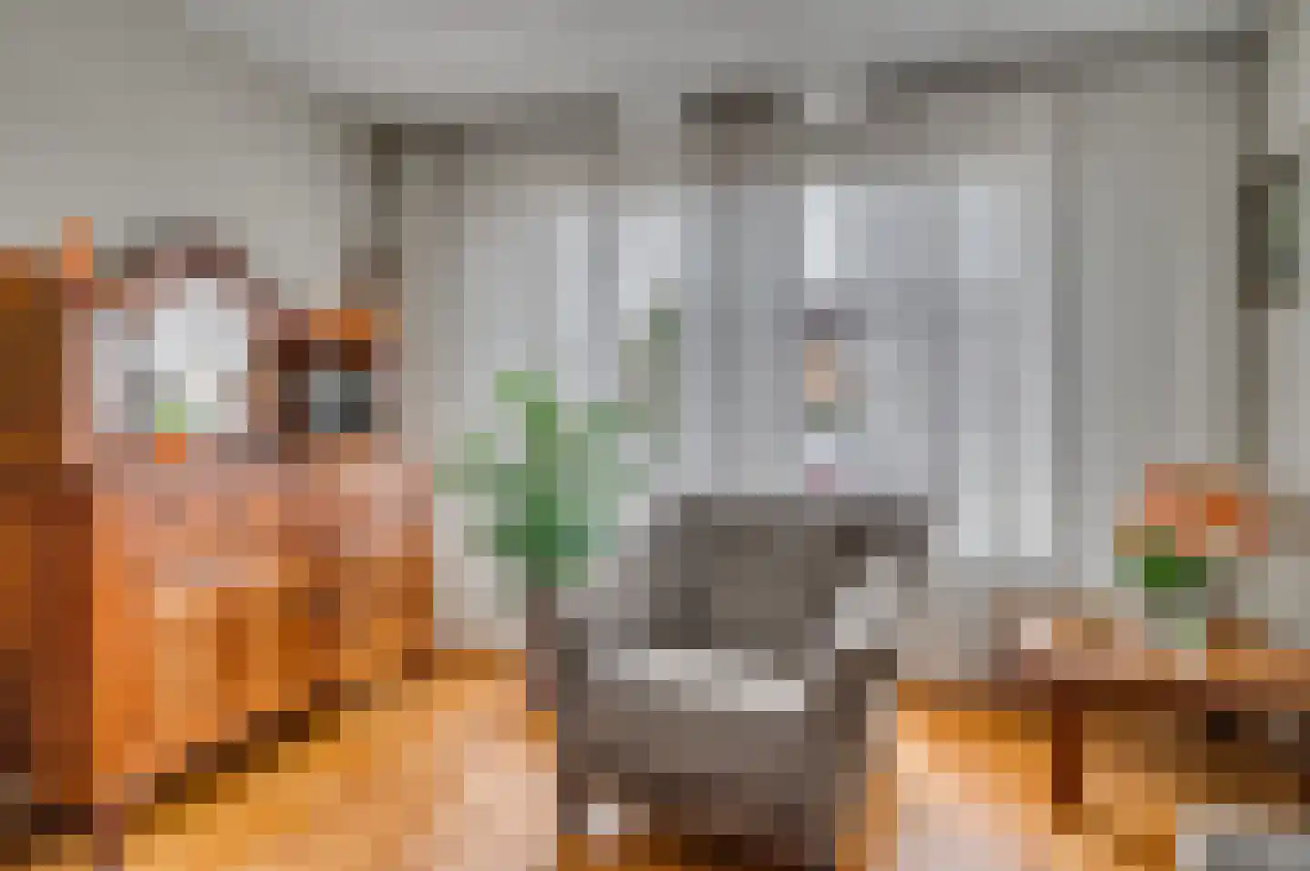 Vastenavondkampstraat 31 Venlo thumbnail 9