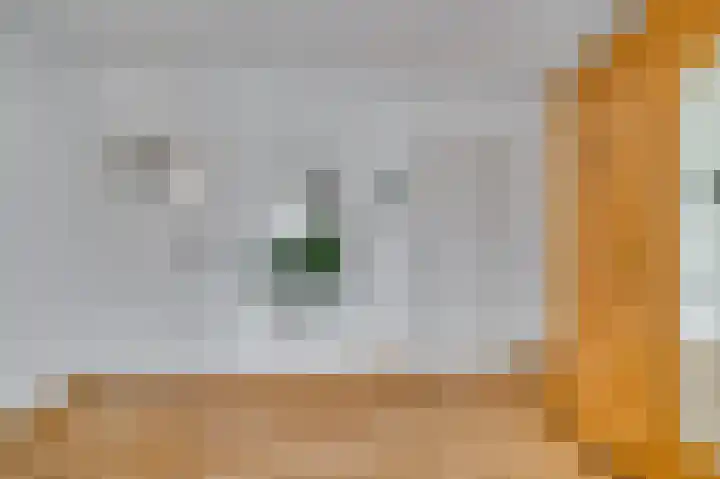 Vastenavondkampstraat 50 Venlo thumbnail 25