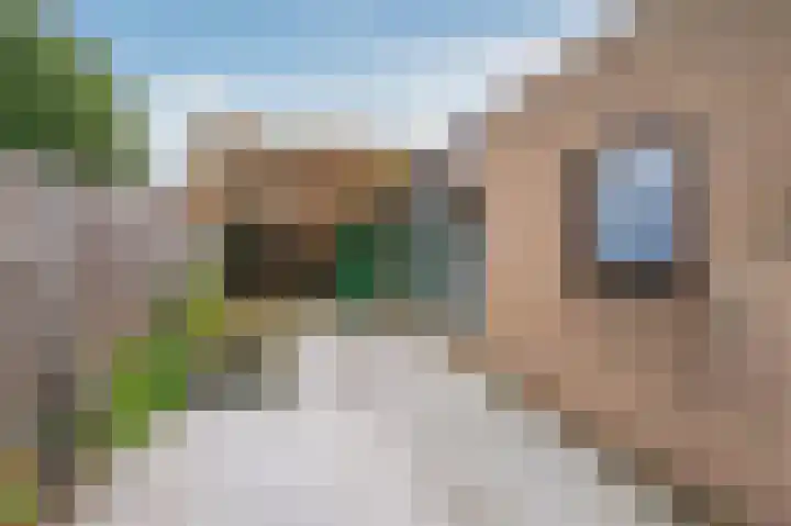 Vastenavondkampstraat 50 Venlo thumbnail 38