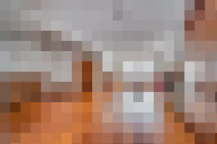 Vastenavondkampstraat 50 Venlo thumbnail 5