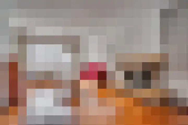 Vastenavondkampstraat 50 Venlo thumbnail 6