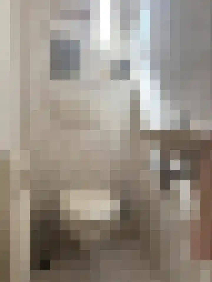 Vastenavondkampstraat 52 Venlo thumbnail 10