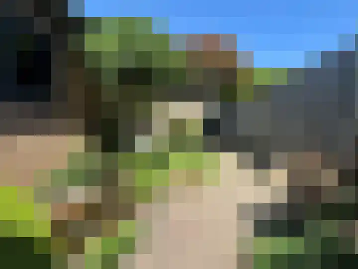 Vastenavondkampstraat 52 Venlo thumbnail 22