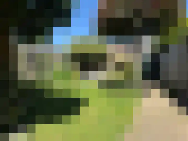 Vastenavondkampstraat 52 Venlo thumbnail 24