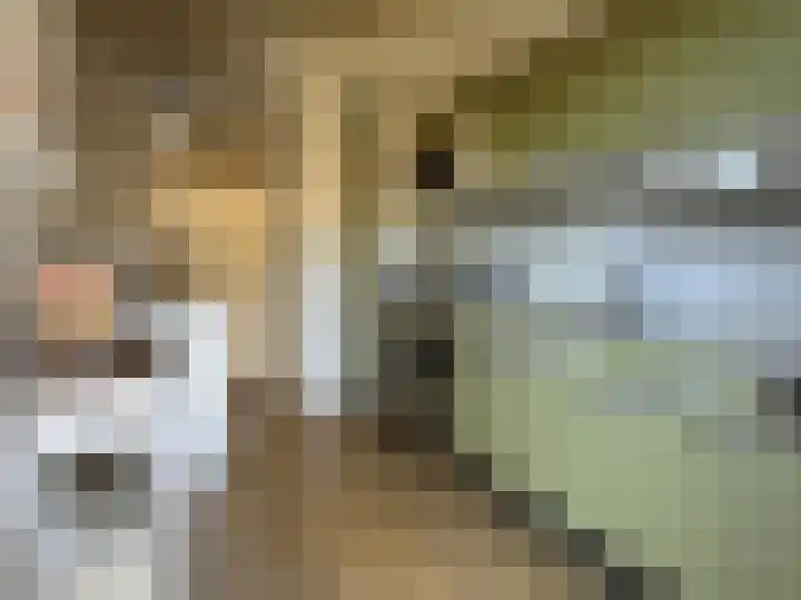 Vastenavondkampstraat 52 Venlo thumbnail 8