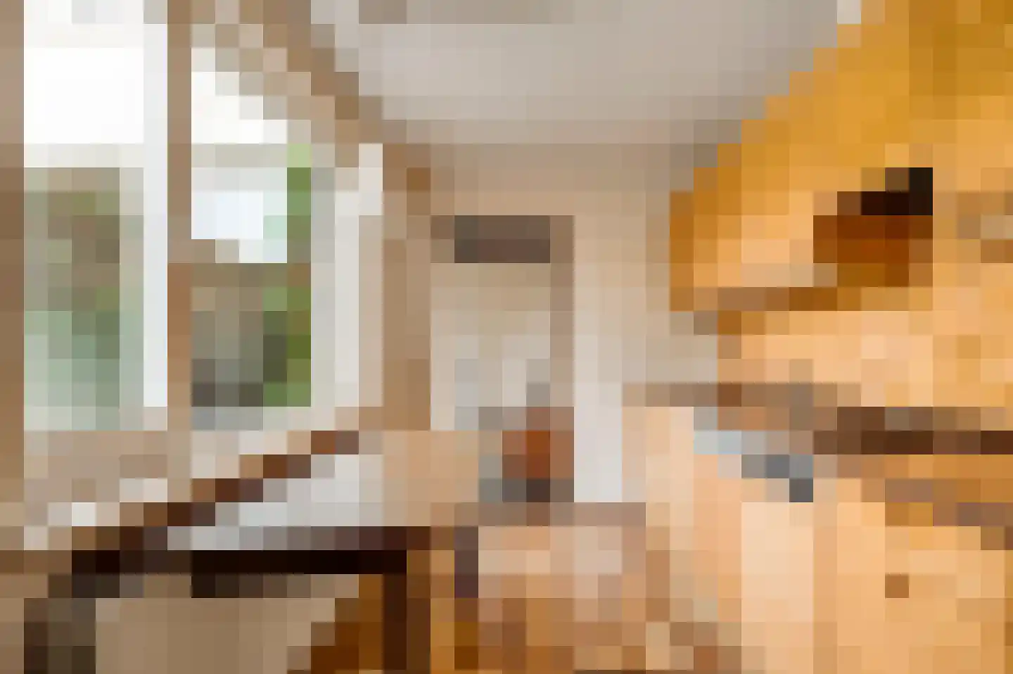 Vastenavondkampstraat 63 Venlo thumbnail 22