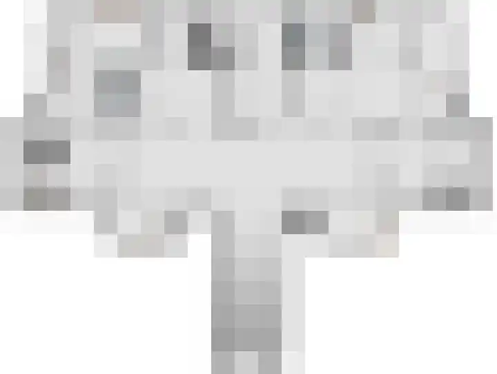 Vastenburghof 10 Nijkerk thumbnail 11