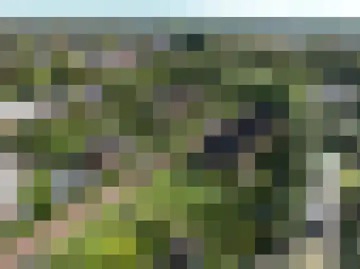 Vastenburghof 10 Nijkerk thumbnail 8
