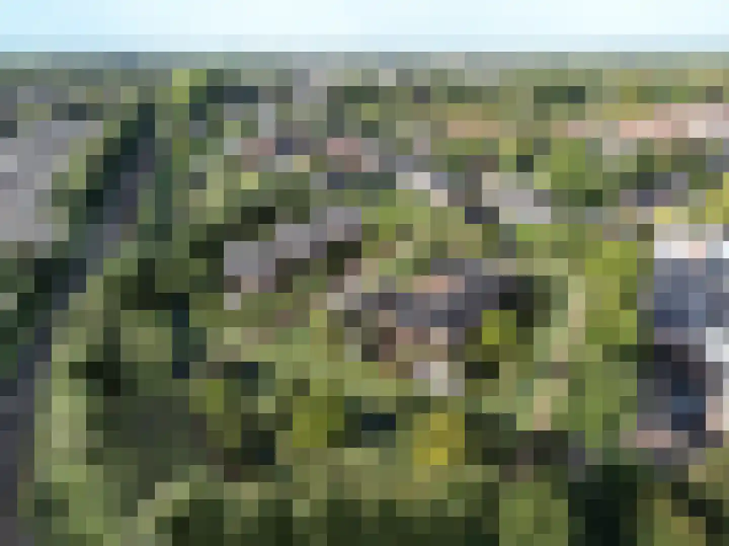 Vastenburghof 14 Nijkerk thumbnail 9