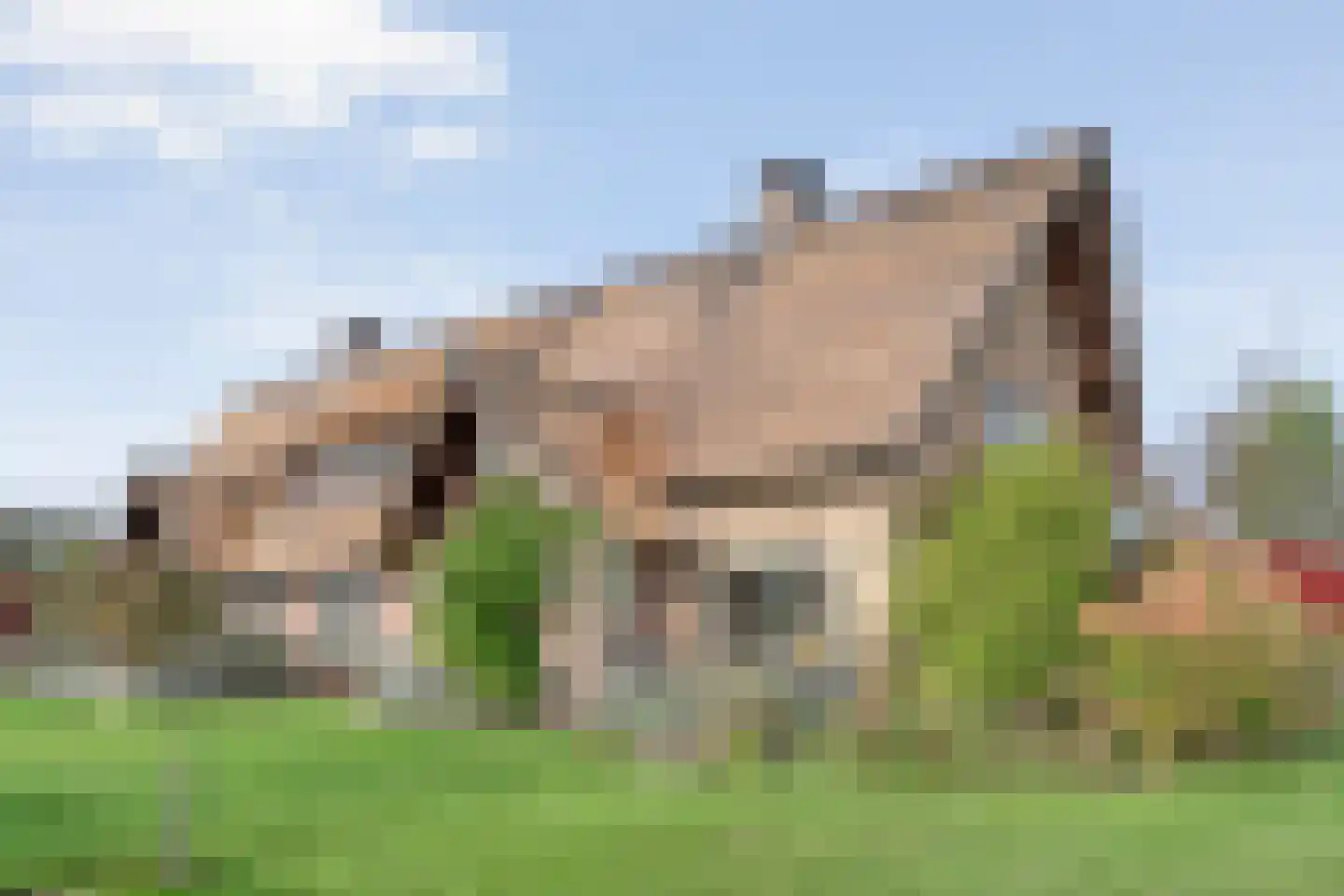 Vastenow 154 Nieuw-Dordrecht thumbnail 4
