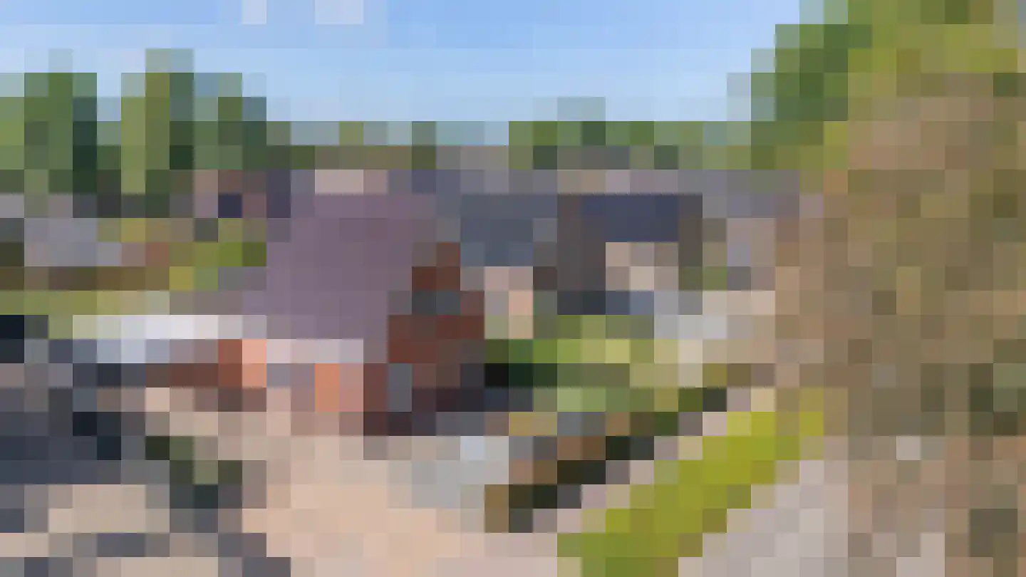 Vastenow 209 Nieuw-Dordrecht thumbnail 7