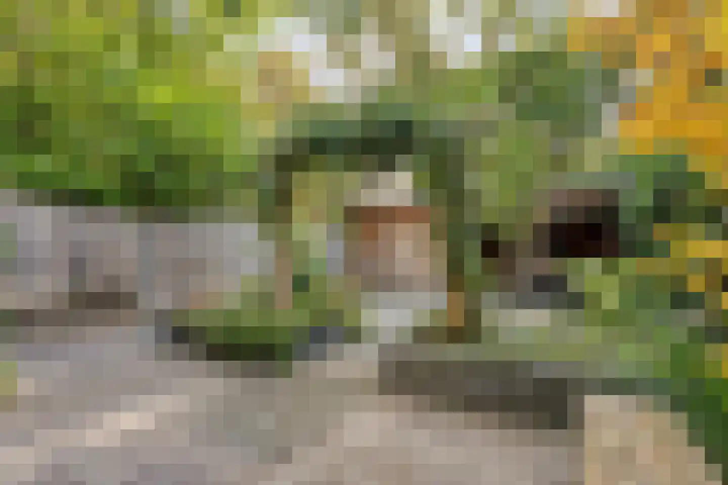 Vastertlanden 38 Enschede thumbnail 38